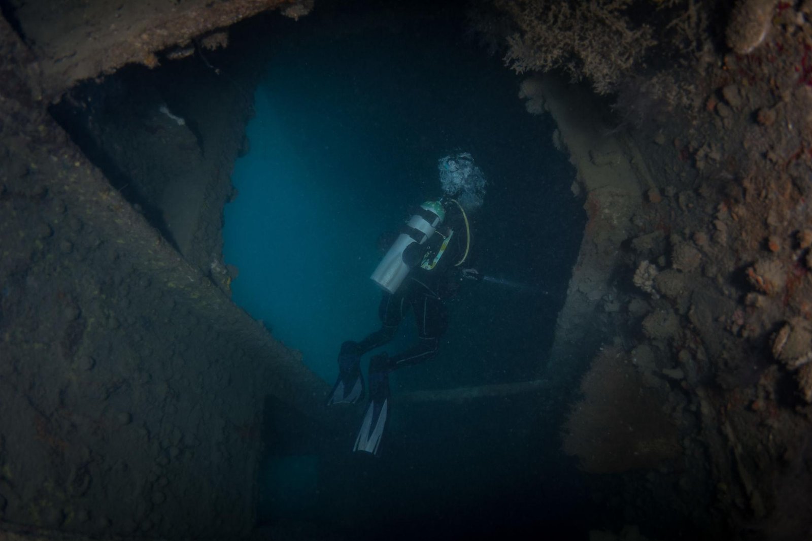 Things to do in Coron. Scuba diving shipwrecks